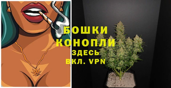 кокс Богородицк